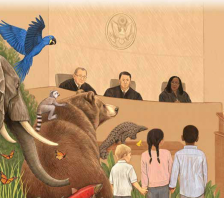 Legal Rights for Rivers in Africa: An Ecological Evolution of the Law