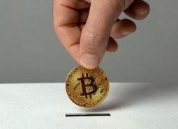 BitHope Activity Report for 2019